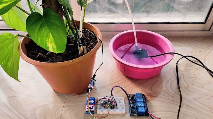 Automatic Plant Watering